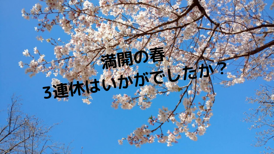 満開の桜